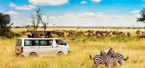 Quoi voir absolument lors d'un safari en Tanzanie