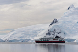 Partir en Antarctique : combien faut-il vraiment budgéter pour une croisière ?