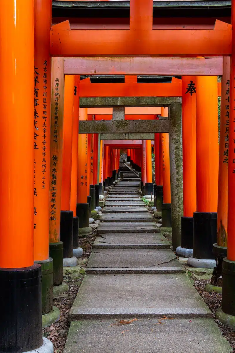 orange painted wall